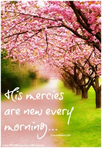 His-mercies-are-new-every-morning